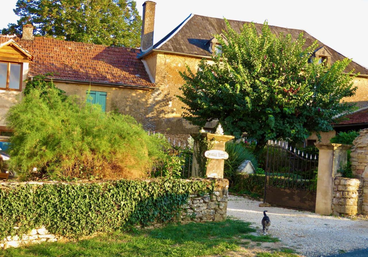 La Vieille Ferme: Superbe Complexe De 3 Gites En Pierre Avec Piscine Au Coeur Du Perigord Noir Saint-Genies Dış mekan fotoğraf